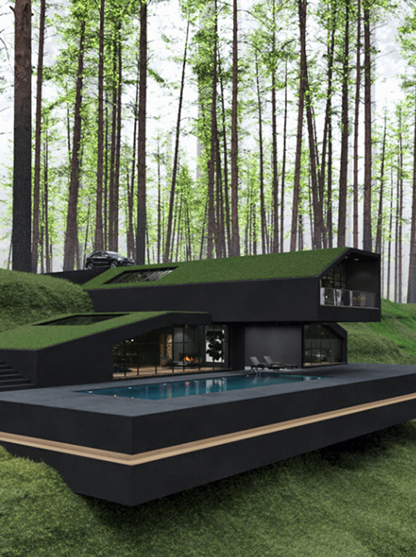 Beautiful Black Villa With Grass-covered Roof