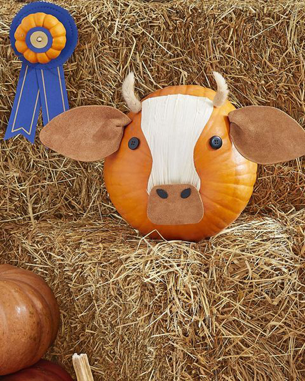 cow-pumpkin-face-no-carve | HomeMydesign