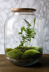 large-bottle-glass-terrarium-ideas | HomeMydesign