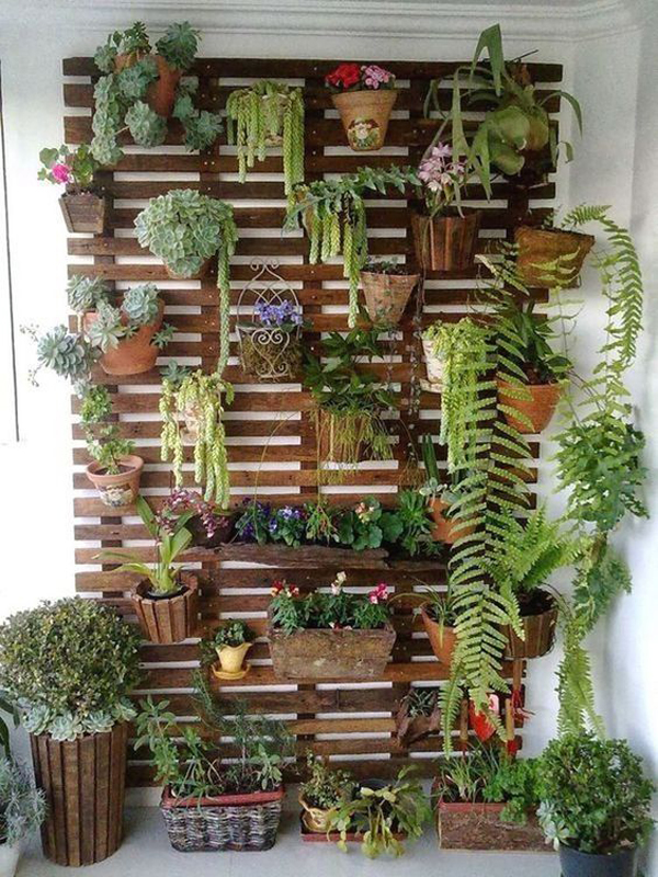 How To Create Vertical Garden For Your Small Balconies