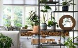 cool-plant-rack-divider-for-living-room