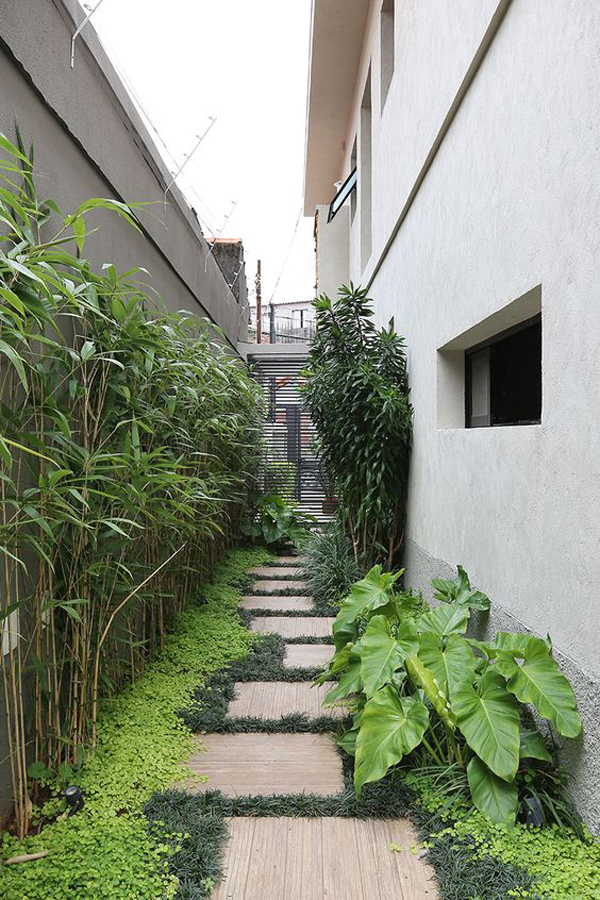 modern-side-yard