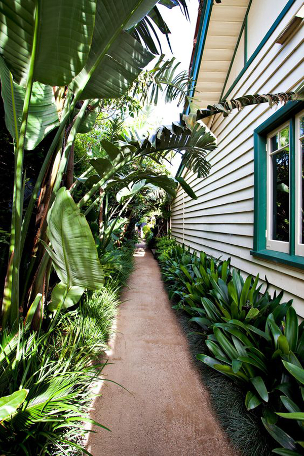 tropical-side-garden