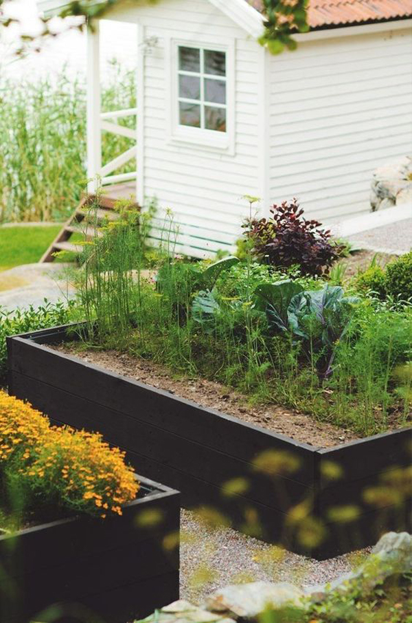 black-stained-raised-bed