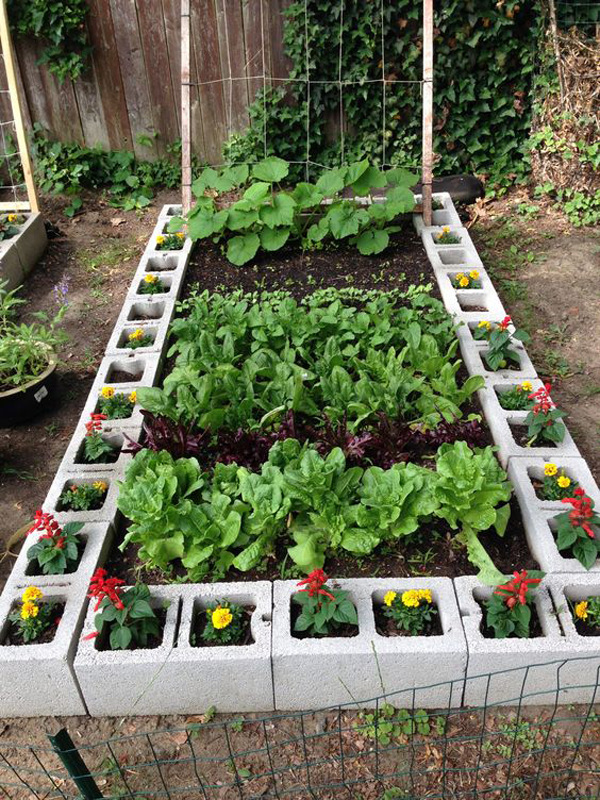 cinderblocks-raised-garden-bed