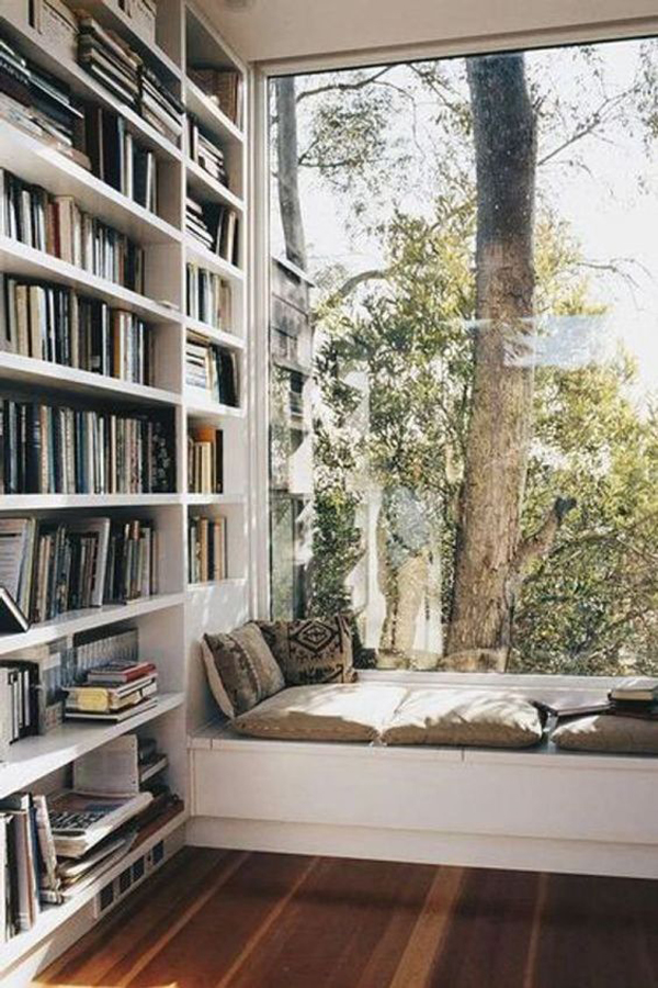 cool-bookshelf-wall-with-a-view