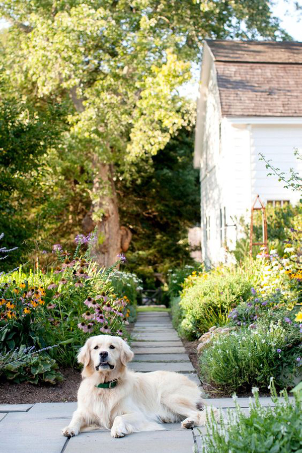 dog-friendly-garden-pathway-with-cozy-retreat