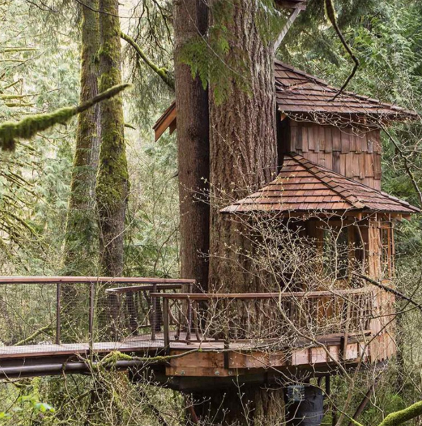 awesome-diy-treehouse-design-in-the-forest