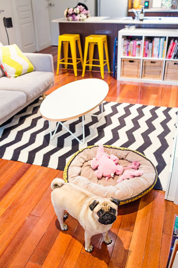 cheerful-dog-friendly-living-rooms