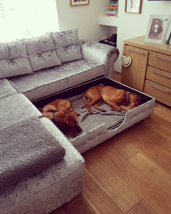 cool-dog-beds-in-living-sofa