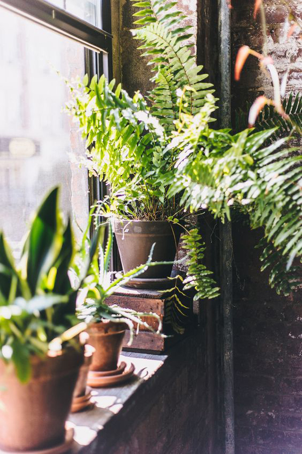 cool-indoor-window-garden-ideas-with-brick-exposed