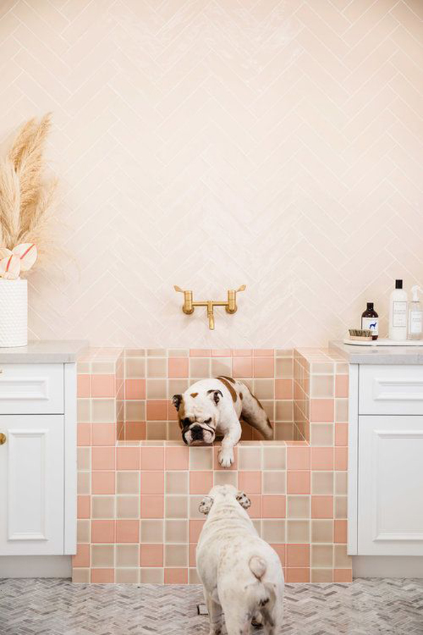 cute-dog-washing-station-design