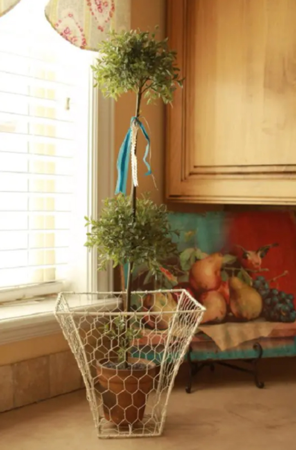 diy-chicken-wire-basket-plant