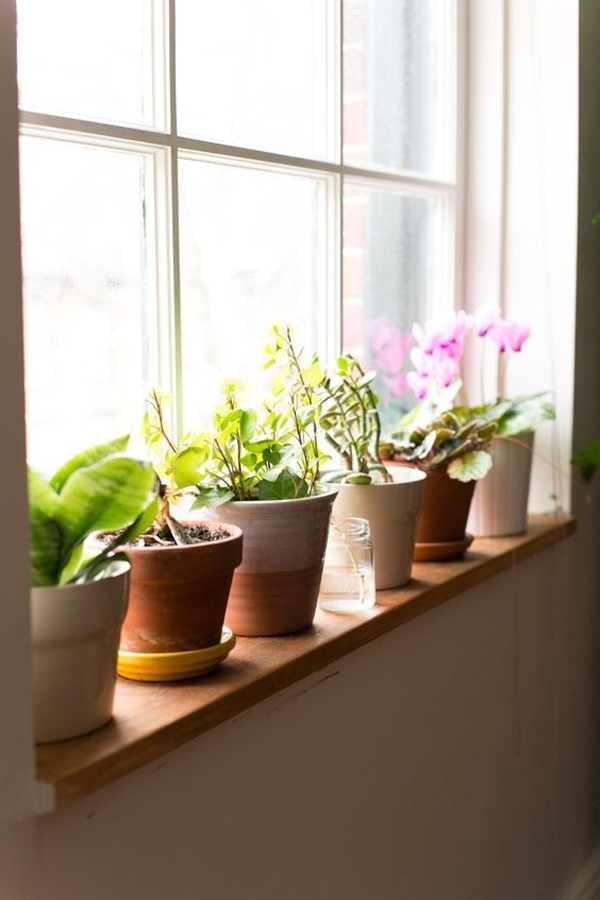 easy-diy-windowsill-planter-pots