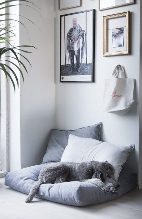 modern-dog-daybed-interior