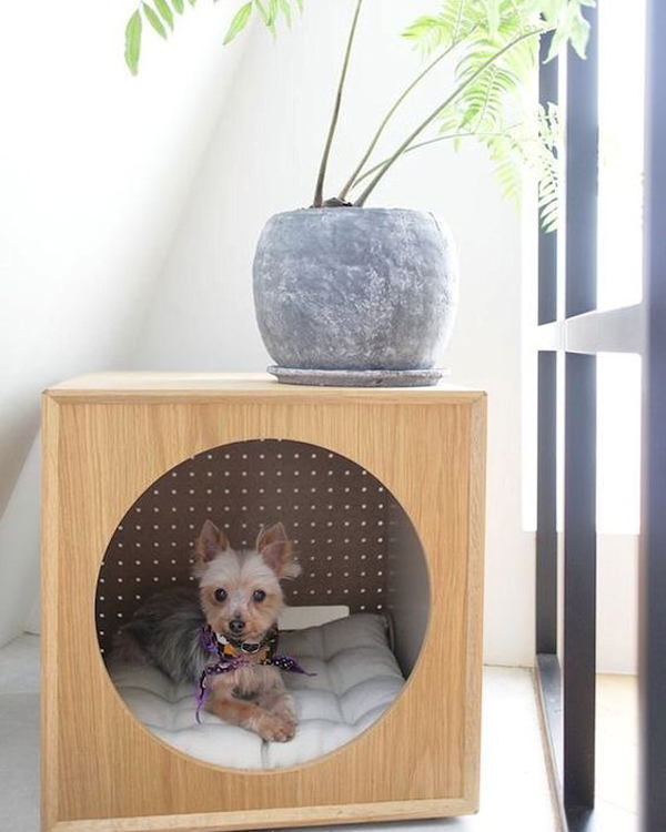 modern-dog-friendly-houses