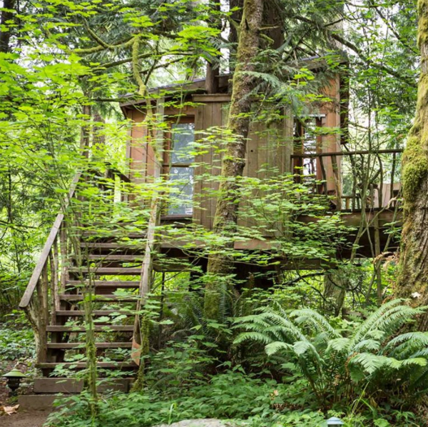 natural-diy-treehouses-in-the-forest