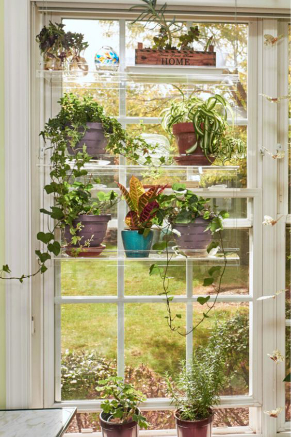 rustic-diy-window-plant-shelf
