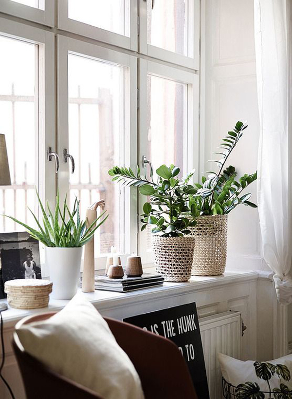 scandinavian-interior-with-windowsill-plants