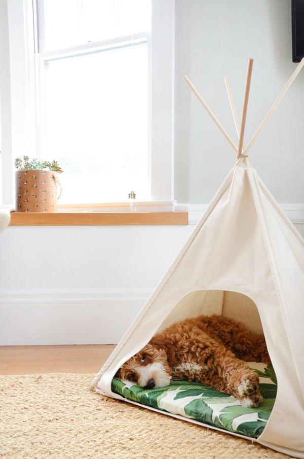 simple-diy-dog-tent-interior-designs