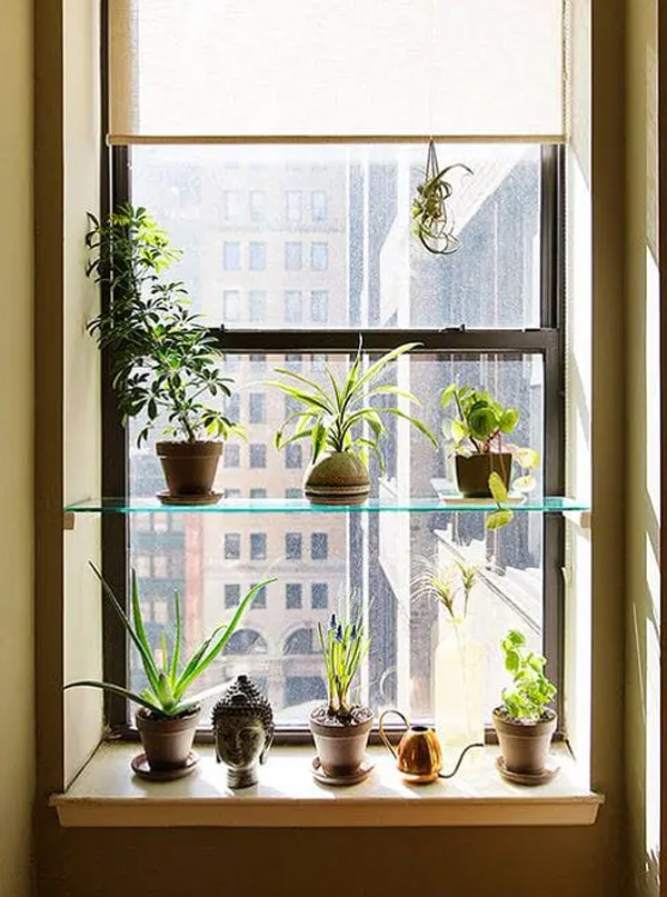 simple-diy-glass-window-plant-racks