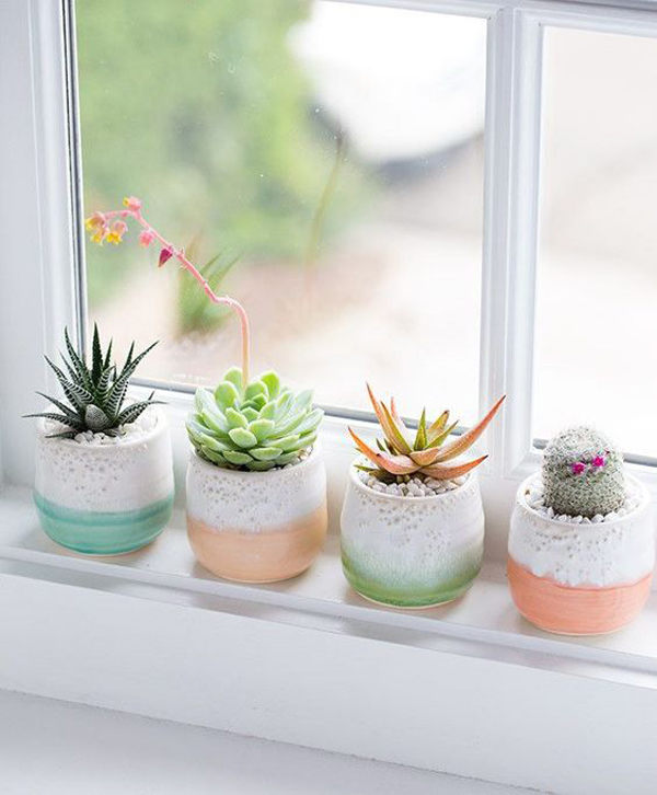 succulent-window-plant-ideas-with-pastel-pots