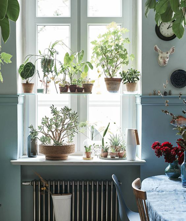 25 DIY indoor Window Garden For Limited Spaces