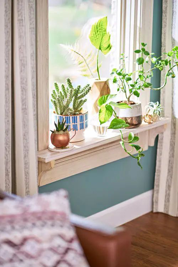 windowsill-ideas-with-plants