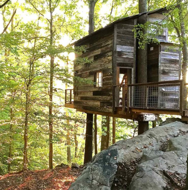 wood-nature-treehouse-design