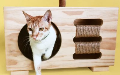 cabin-cat-furniture-design