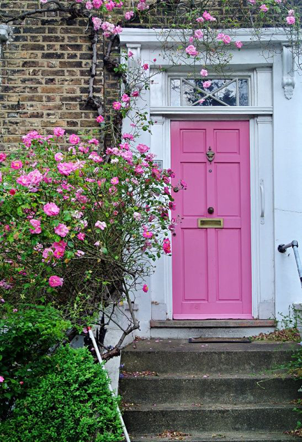 charming-pink-front-door-with-rose-vine
