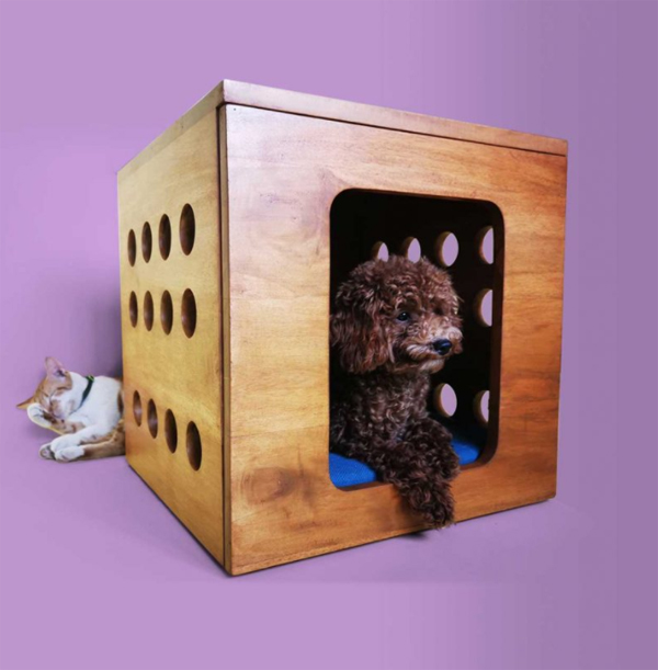 cube-dog-house-design