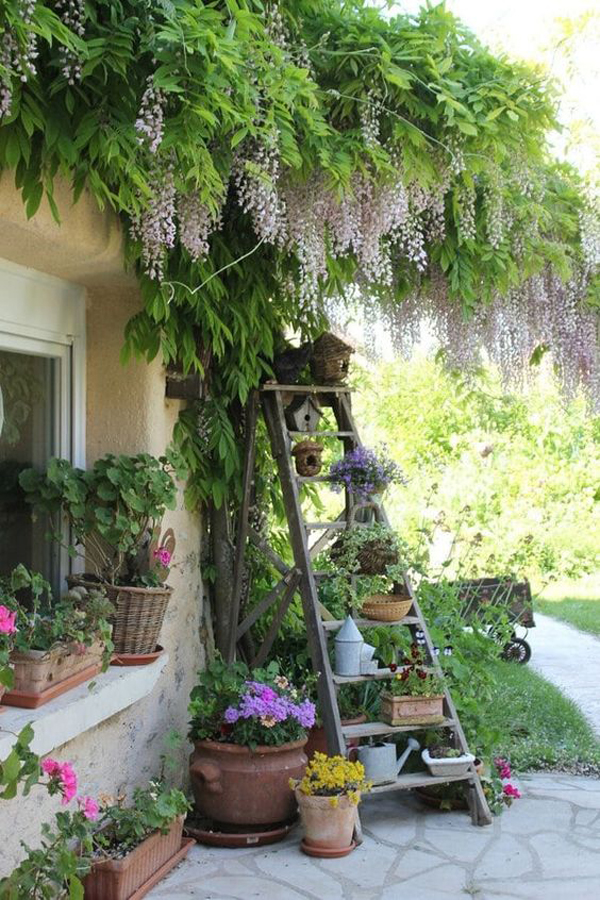 diy-cottage-style-garden-with-ladder-plant-rack