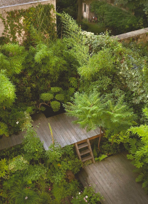 urban-roof-deck-garden-with-jungle-style