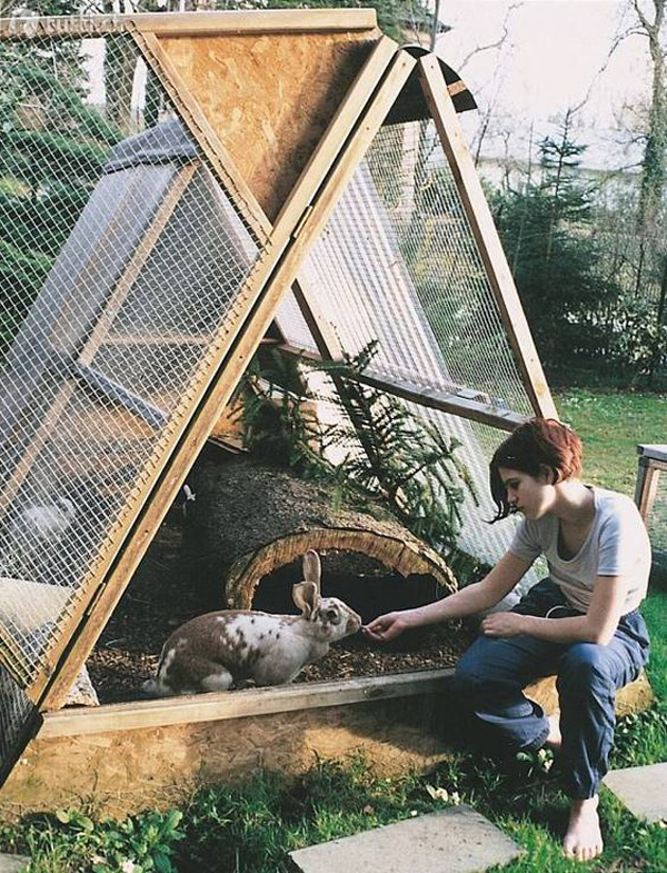 a-frame-outdoor-bunny-houses