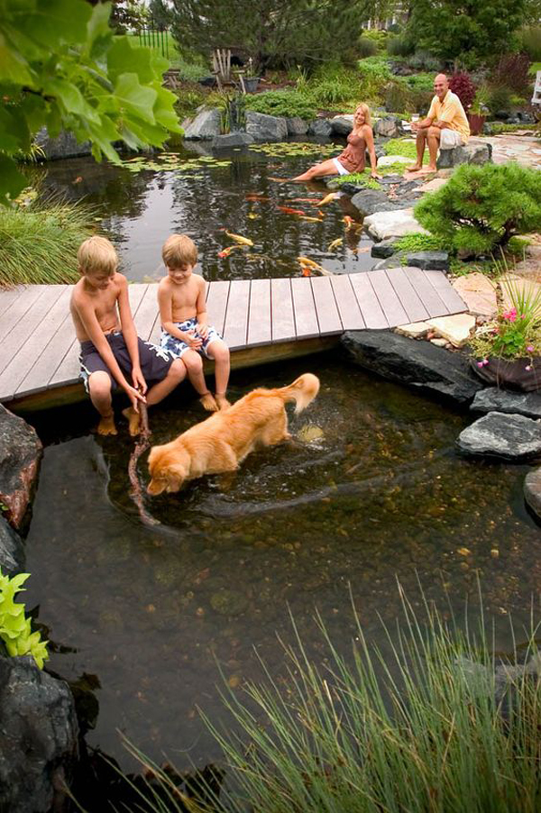 backyard-river-pool-designs