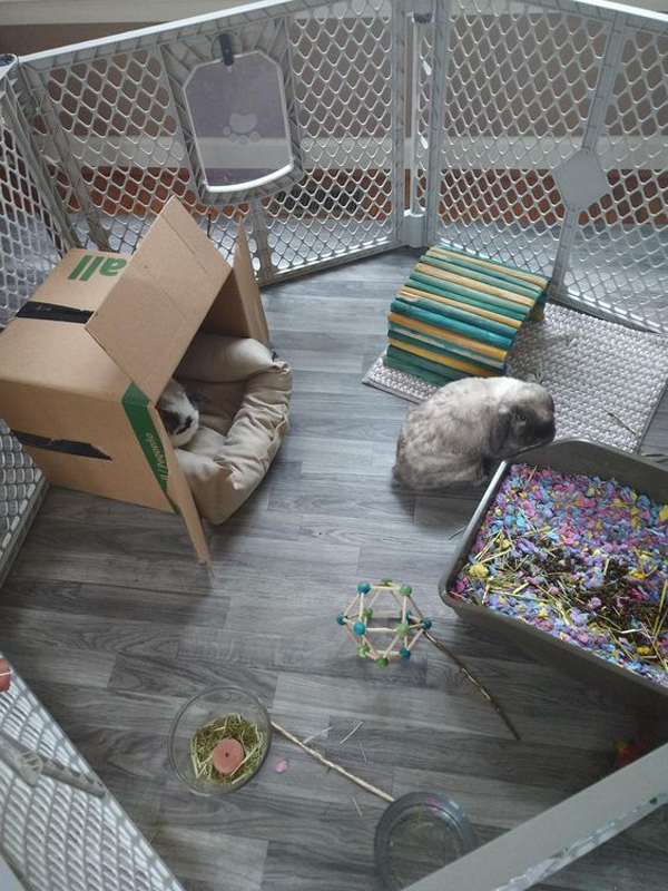 diy-rabbit-house-and-cage-decor