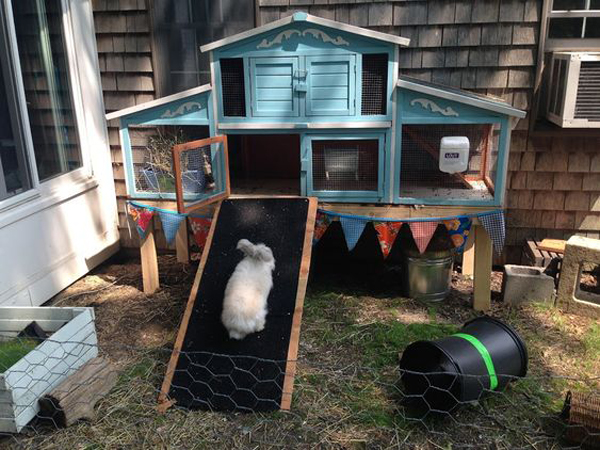 Outdoor rabbit enclosure shop diy