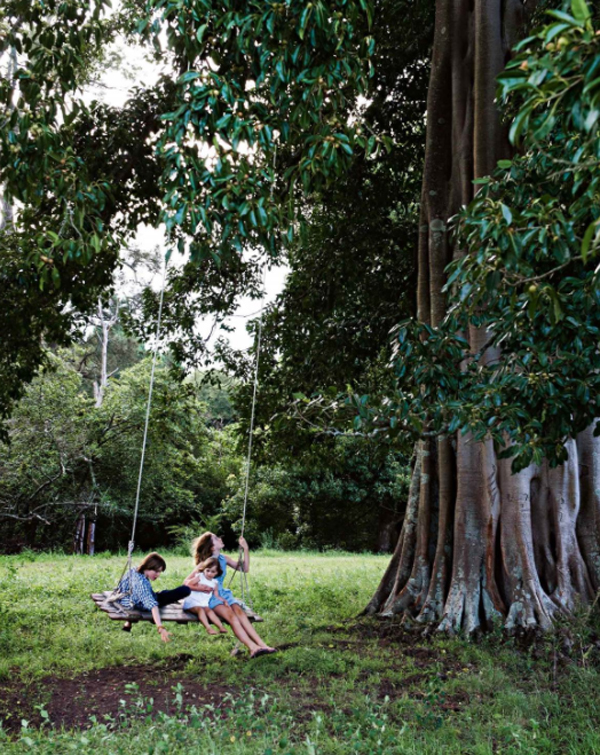 fun-outdoor-swing-under-giant-fig-tree