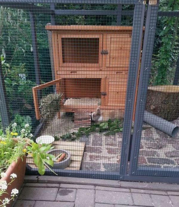 Outdoor rabbit 2024 enclosure ideas