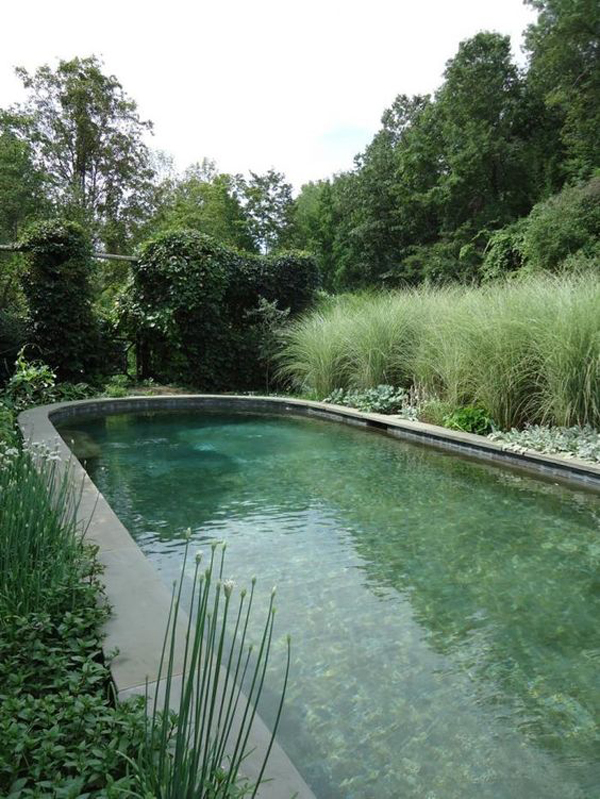 river-pool-design-in-secret-garden