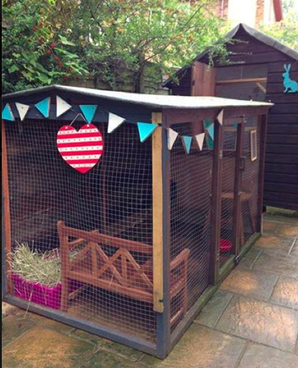 Outdoor rabbit house outlet ideas