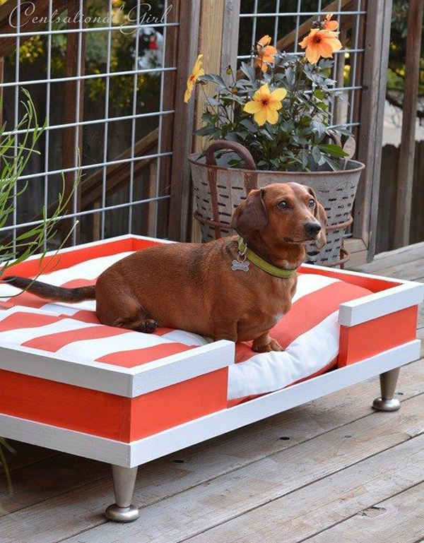 diy-dog-bed-in-balcony