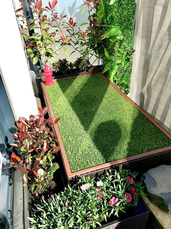 dog-balcony-garden-ideas