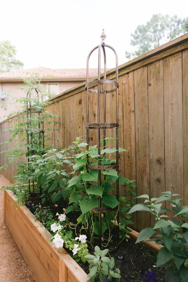 raised-bed-garden-ideas-in-the-fence