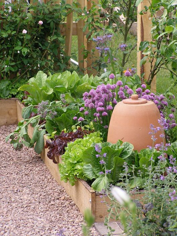 salad-raised-bed-gardens