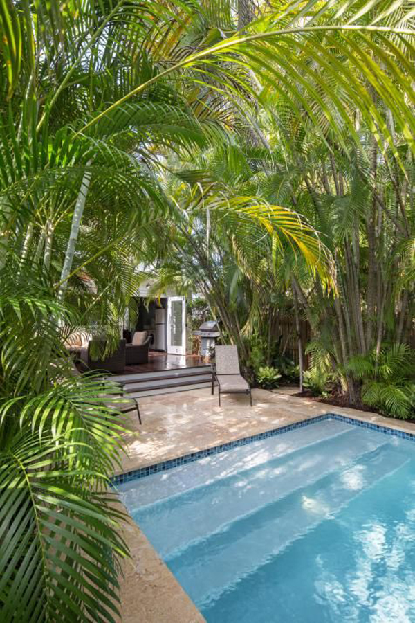 tiny-tropical-swimming-pool-garden