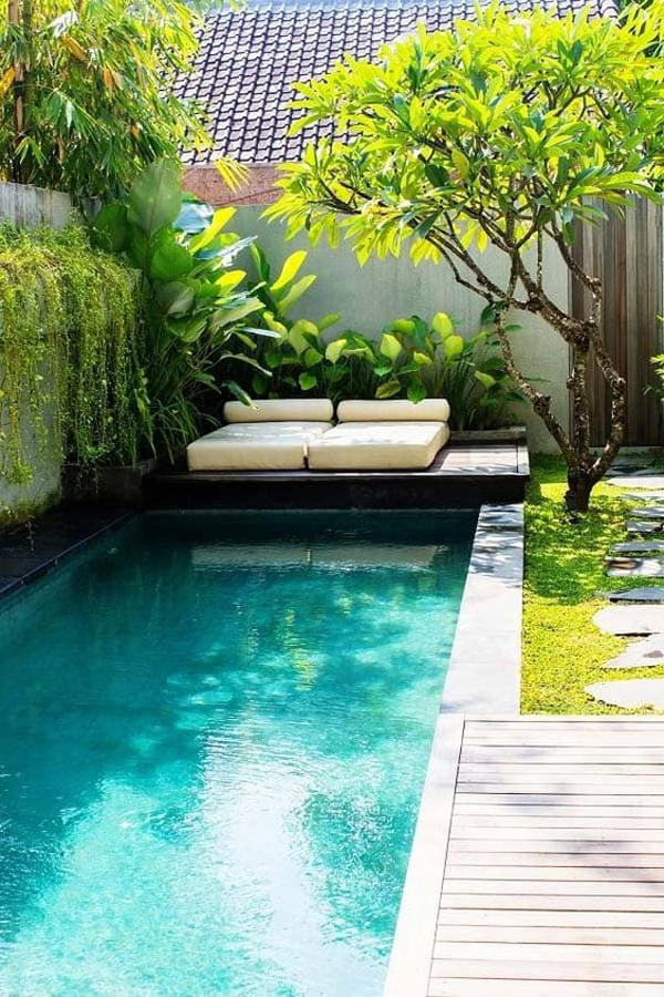 tropical-plunge-pool-landscape-for-summer