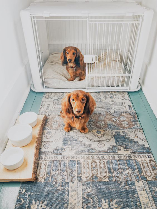 boho-chic-dog-crate-ideas