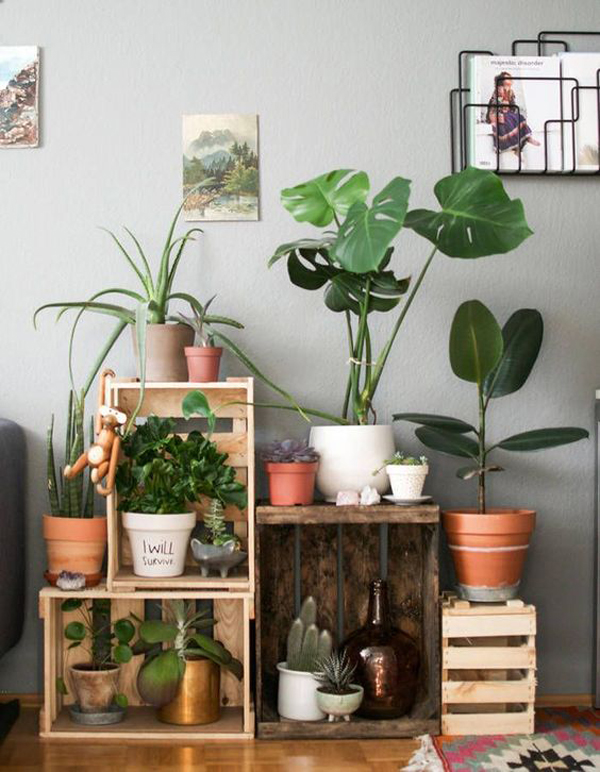 diy-indoor-plant-for-background